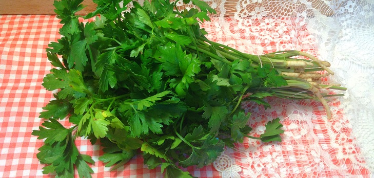 The recipe for fresh parsley for the winter