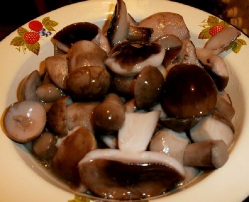 Bunnies for the winter: methods and recipes for billets