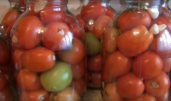 Tomatoes with garlic for the winter, recipes. Harvesting tomatoes with garlic for the winter: a recipe for fast cooking, without sterilization, salted without bathing