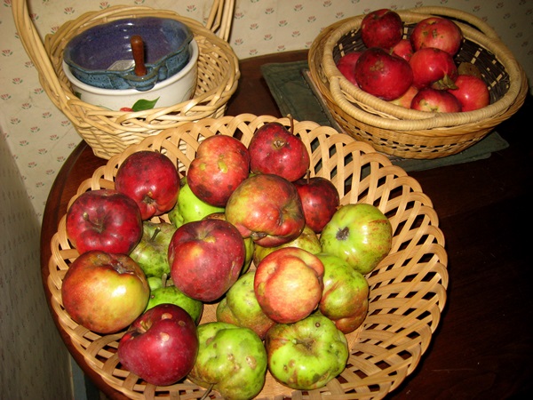 How to cook jam from apples at home