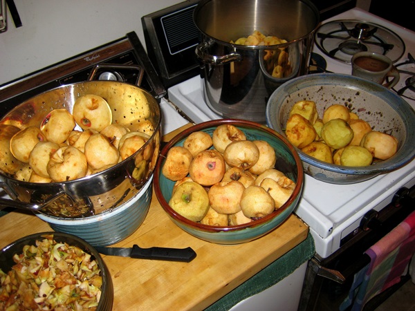 How to cook jam from apples at home