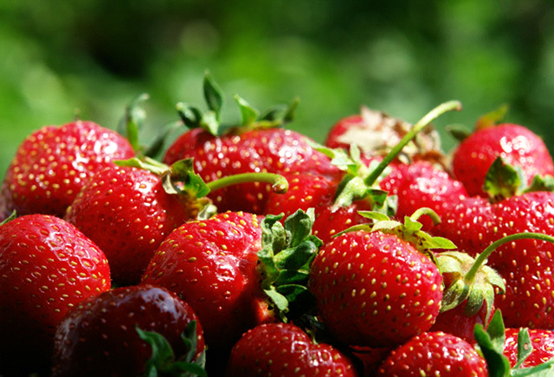 fresh strawberries