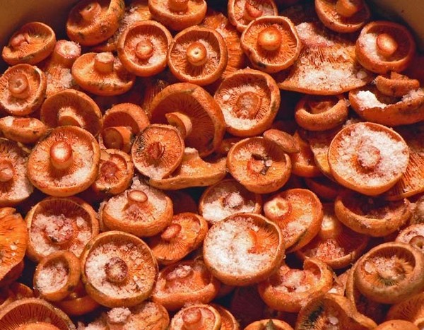 Rozhiki for the winter - recipes for freezing, pickling