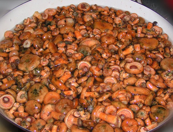 Rozhiki for the winter - recipes for freezing, pickling