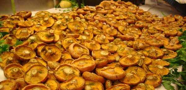Rozhiki for the winter - recipes for freezing, pickling Rozhiki for the winter - recipes for freezing, pickling