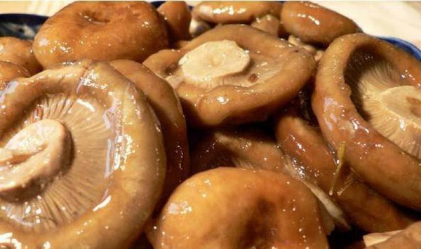 Rozhiki for the winter - recipes for freezing, pickling