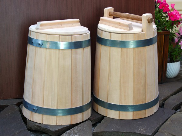 Rozhiki for the winter - recipes for freezing, pickling