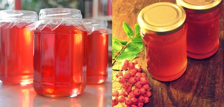 Rowan for the winter: recipes for billets from the usual red and black chokeberry