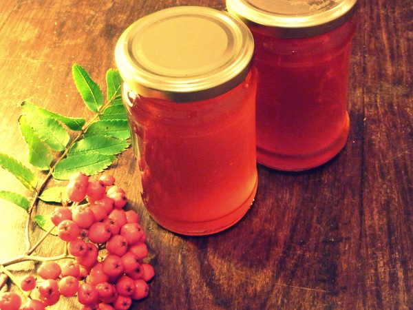 Rowan for the winter: recipes for billets from the usual red and black chokeberry
