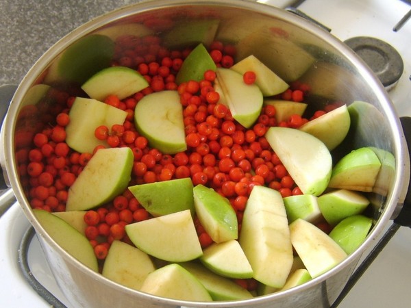Rowan for the winter: recipes for billets from the usual red and black chokeberry