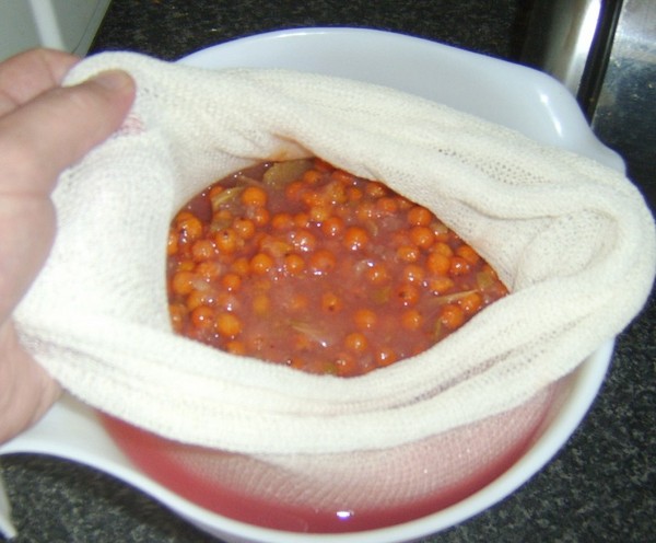 Rowan for the winter: recipes for billets from the usual red and black chokeberry