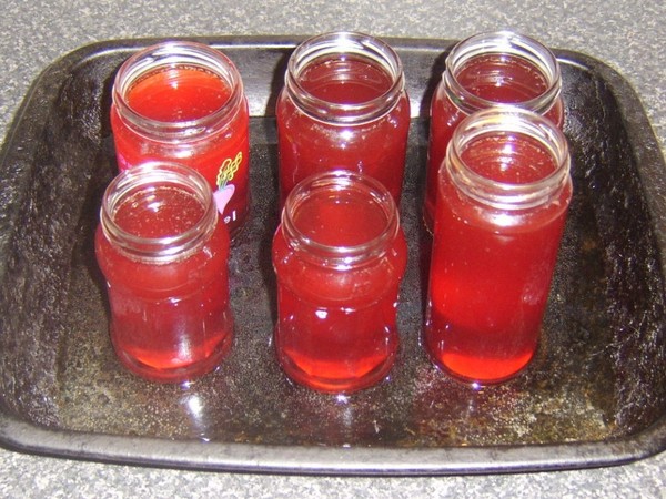 Rowan for the winter: recipes for billets from the usual red and black chokeberry