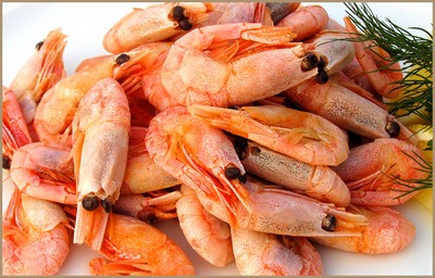 Shrimp and squid salad