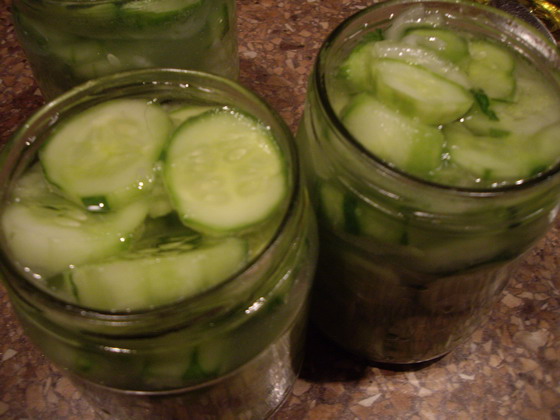 Cucumber salad for the winter