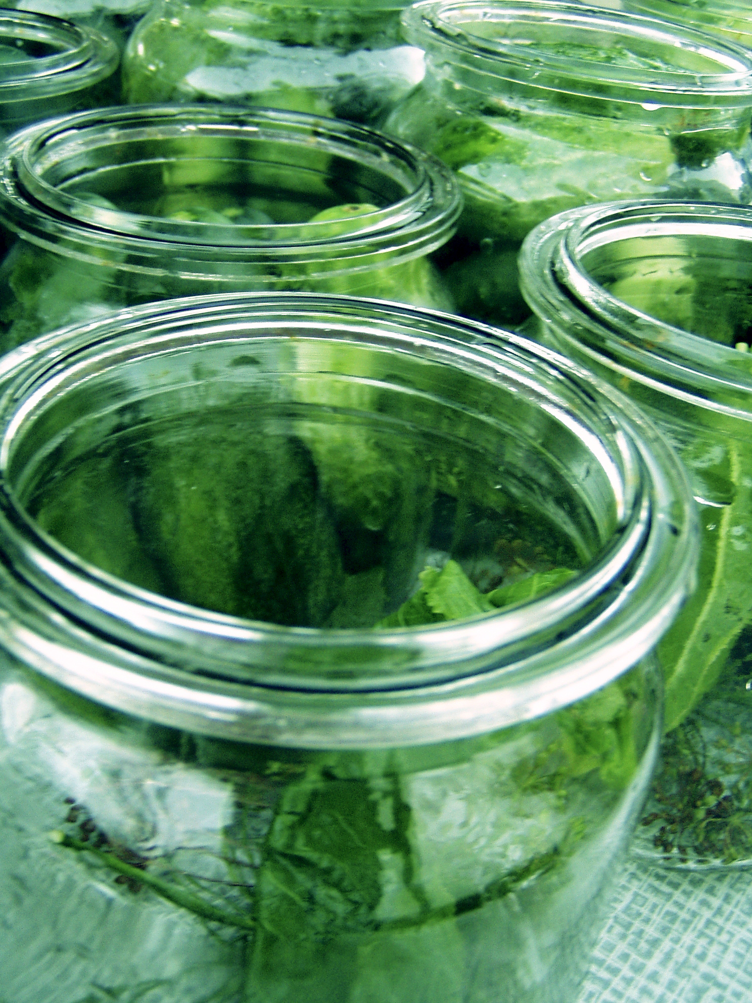 Cucumber salad for the winter