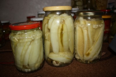 Cucumber salad for the winter