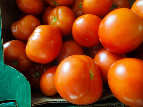 Tomato salad for the winter