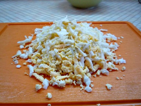 Salad of chicken stomachs