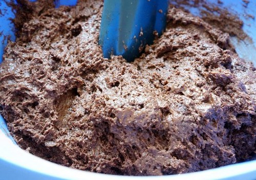 The most delicious recipes of capkake: chocolate, curd, with mastic