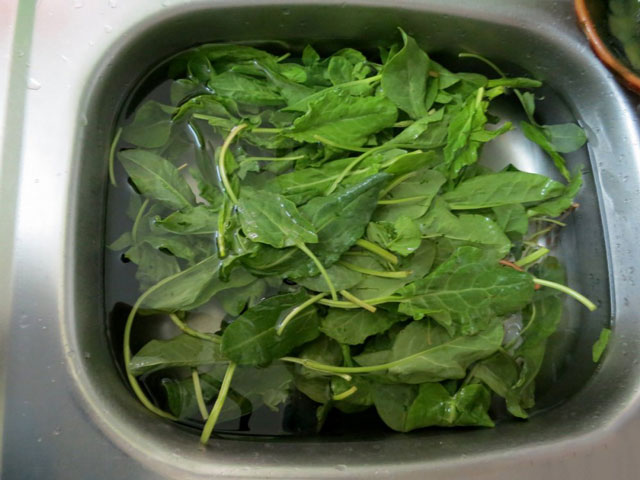 How to roll sorrel for the winter without salt How to roll sorrel for the winter without salt