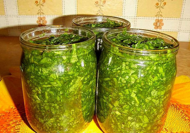 How to roll sorrel for the winter with salt How to roll sorrel for the winter with salt