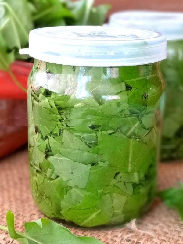 Green healer: the best homemade recipes from sorrel
