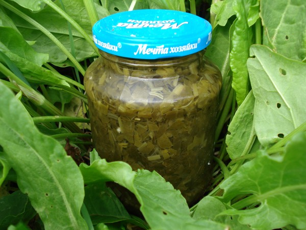 Green healer: the best homemade recipes from sorrel