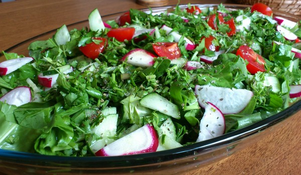 Green healer: the best homemade recipes from sorrel
