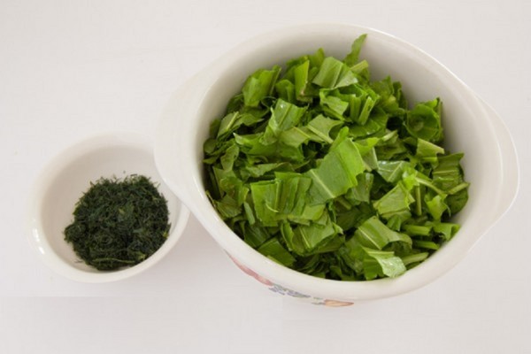 Green healer: the best homemade recipes from sorrel