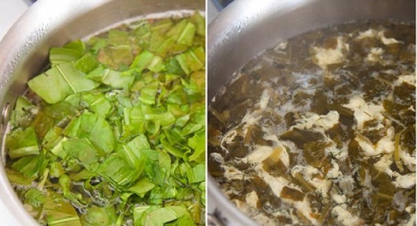 Green healer: the best homemade recipes from sorrel