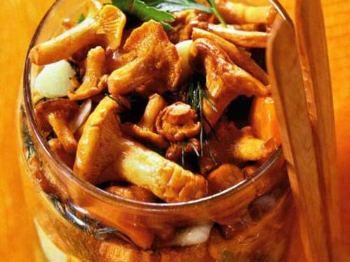 Salted chanterelle
