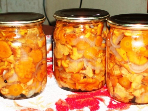 Salted chanterelle