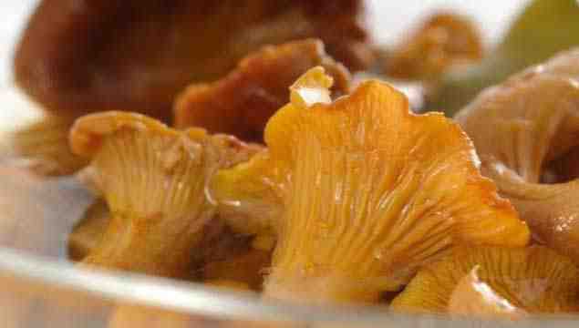 Salted chanterelle
