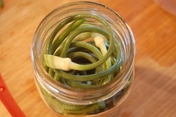 Garlic arrows: the best recipes with photos