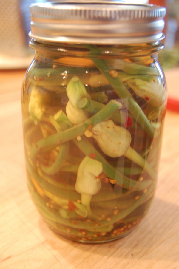 Garlic arrows: the best recipes with photos