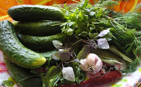 Dry pickling cucumbers for winter at home - photo recipe