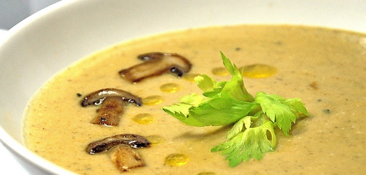 Soup from birch bark: recipes with photo