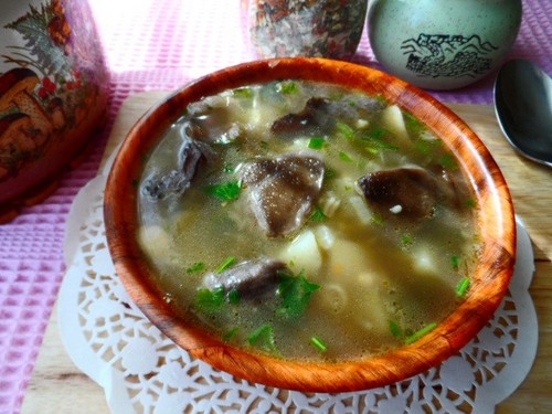 Soup from birch bark: recipes with photo