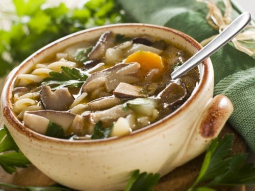 Soup from birch bark: recipes with photo