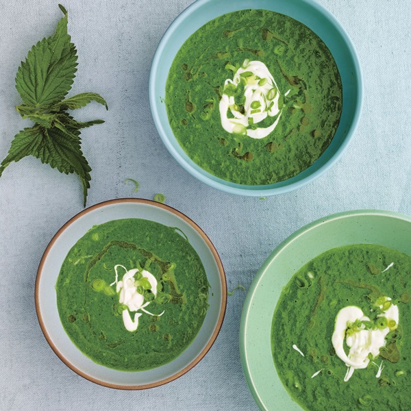 Green soup from sorrel