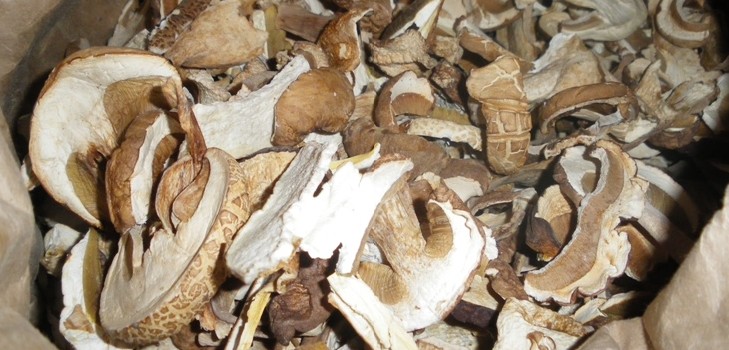 Dried white mushrooms: recipes for cooking