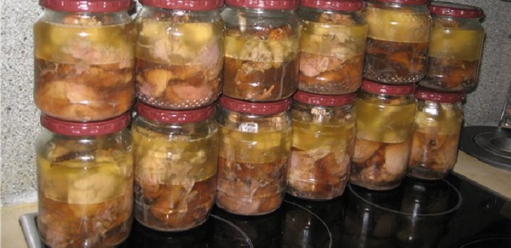 Delicious recipes of homemade stew