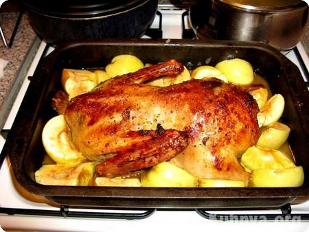Duck in the oven: how tasty to cook?