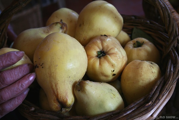 Jam from quince: the most delicious recipes with photos
