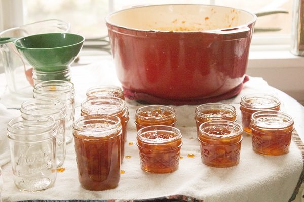 Jam from oranges and orange peels: step-by-step recipes with photos