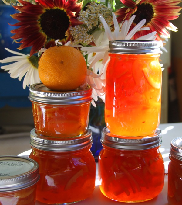 Jam from oranges and orange peels: step-by-step recipes with photos