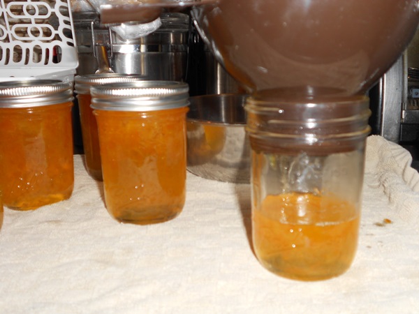 Jam from oranges and orange peels: step-by-step recipes with photos