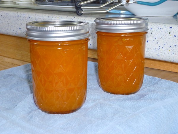 Jam from oranges and orange peels: step-by-step recipes with photos