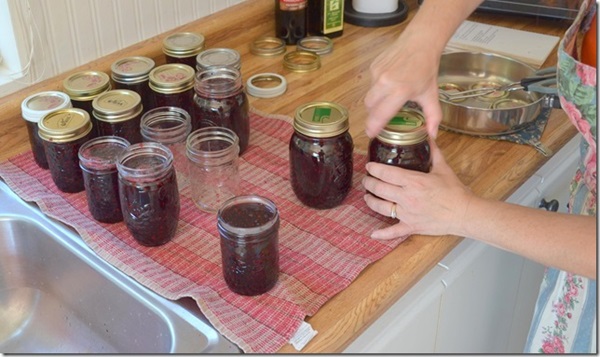 Jam from black chokeberry