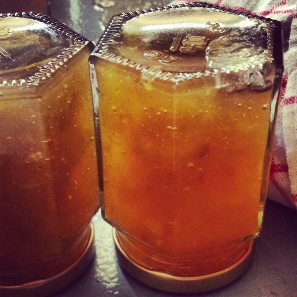 Jam from melon and melon crust for winter - simple recipes